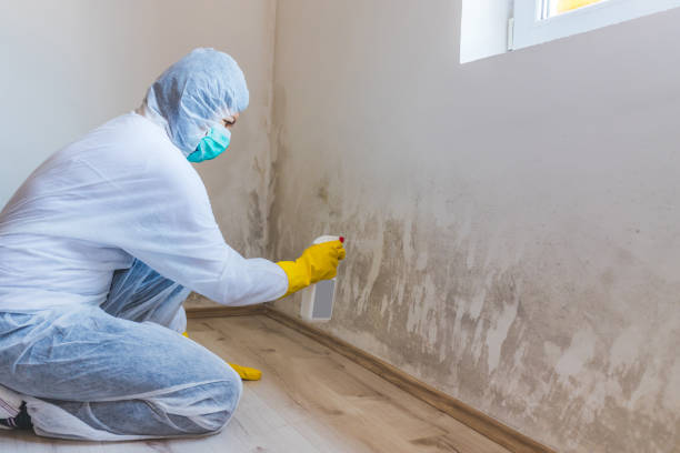 Hvac And Air Duct Mold Remediation inspection of HVAC system in Smyrna